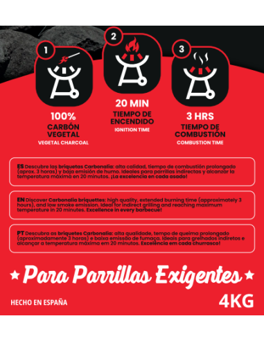 Briquetas de carbón vegetal - 4 kg